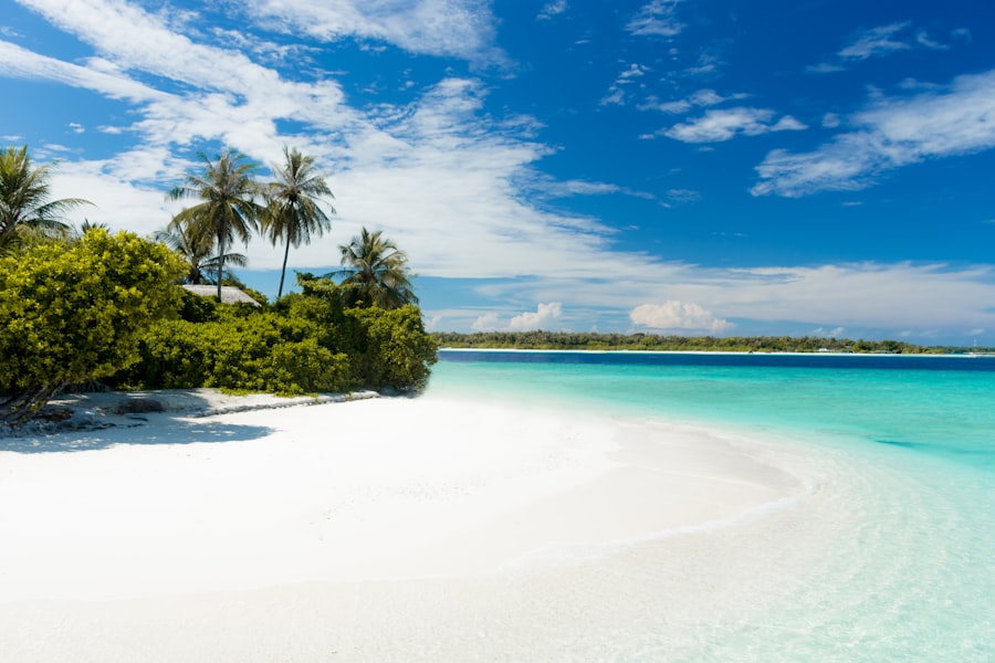 Tropical beach