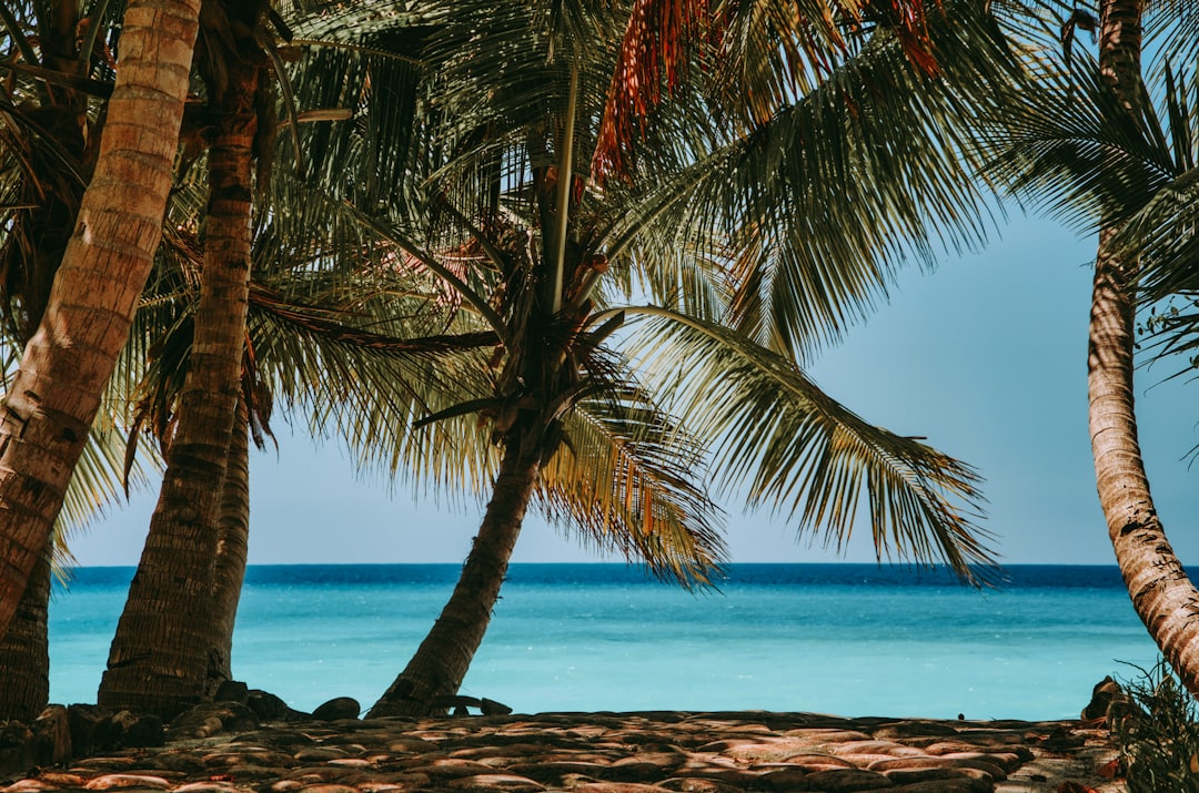 Photo Tropical paradise