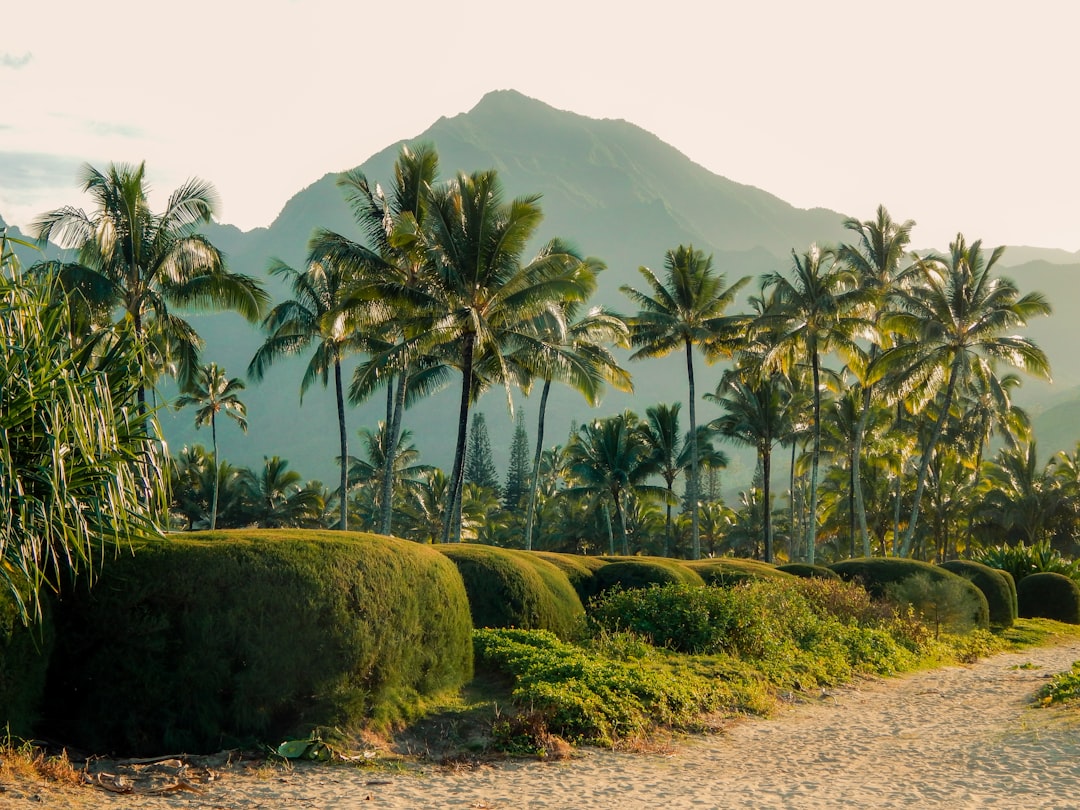 Photo Tropical paradise