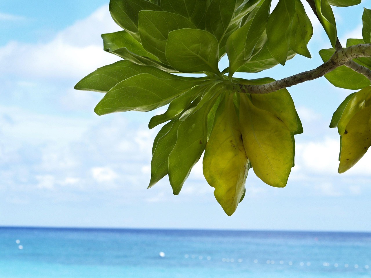 Sunny tropical beach scene in Phuket, Thailand