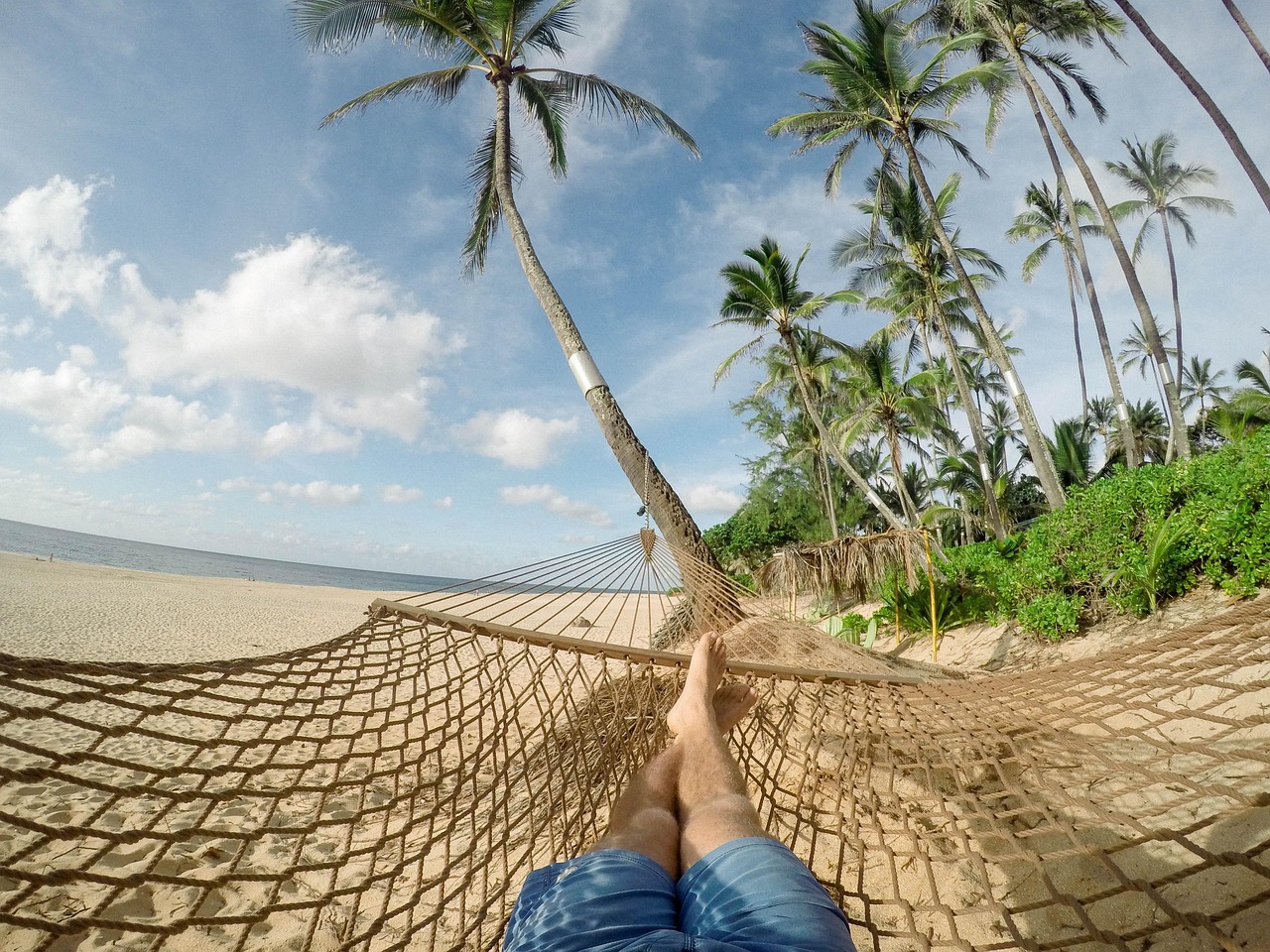 Affordable tropical beach with palm trees and clear water