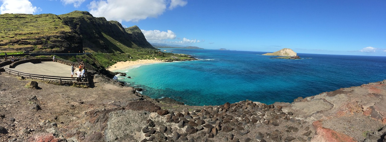 Tropical Hawaiian beach with palm trees and blue ocean