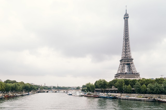 Paris skyline with the Eiffel Tower and classic rooftops